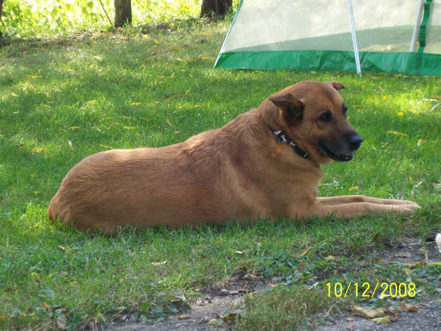 An Advent Devotional