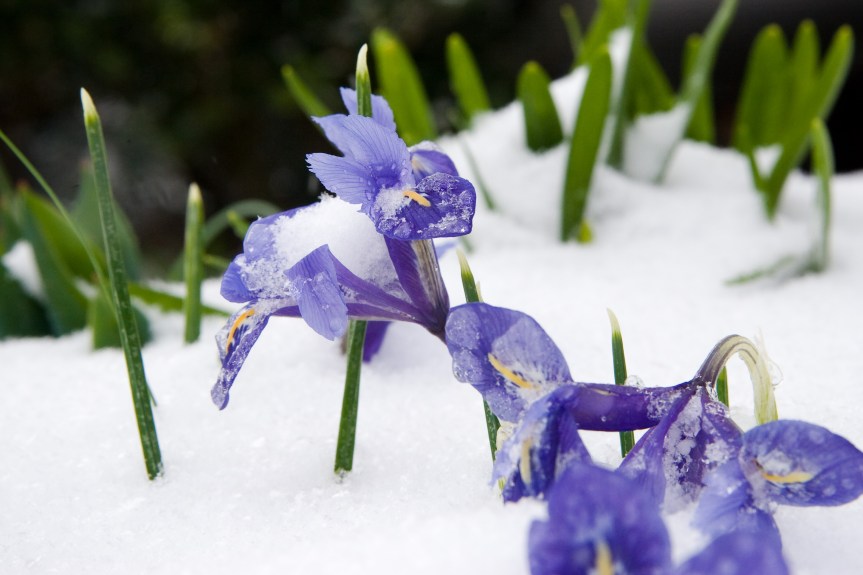 The Reign of&nbsp;God