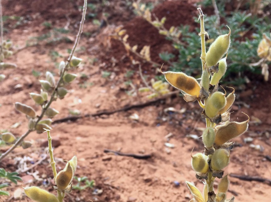 Holy Week Reflection: Tuesday in Holy&nbsp;Week